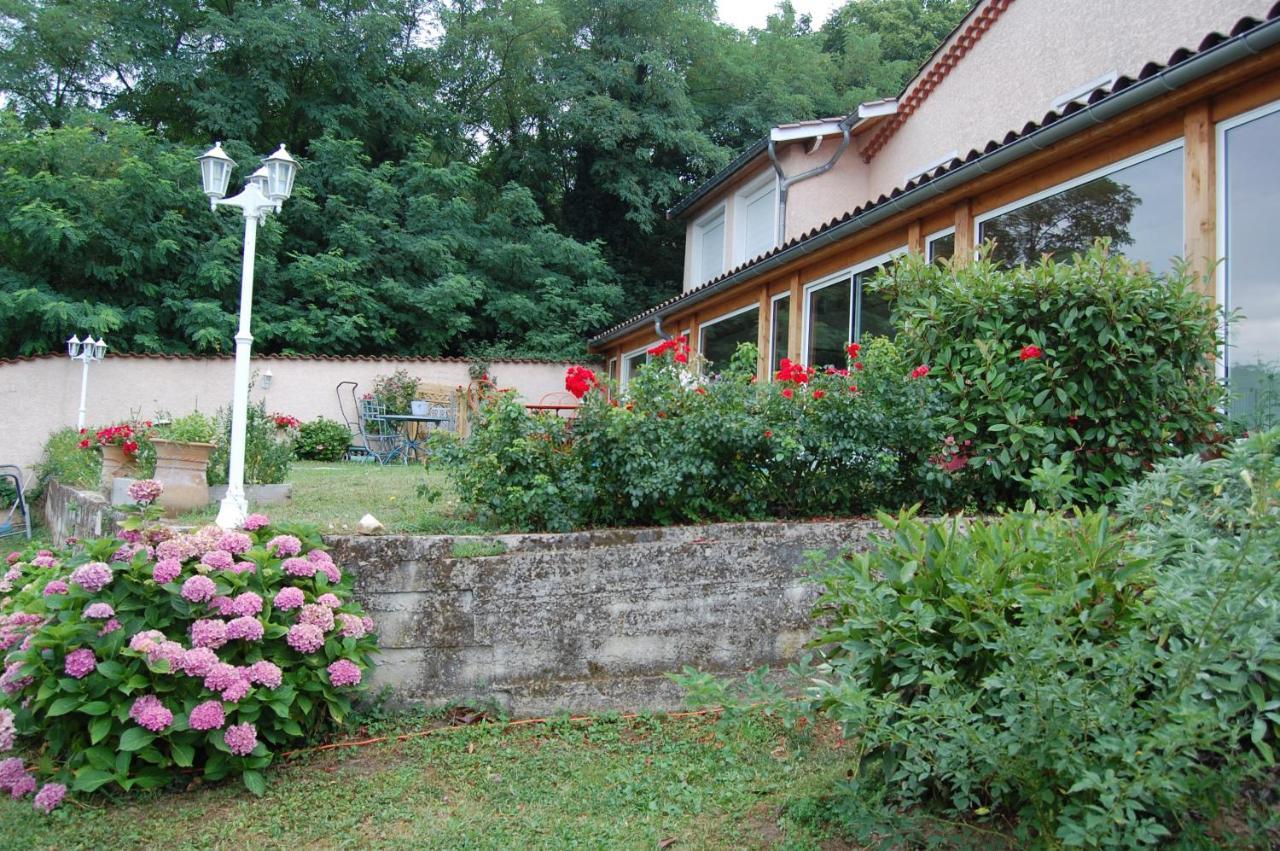 Villa Panoramique Saint-Clair-du-Rhone Exterior photo